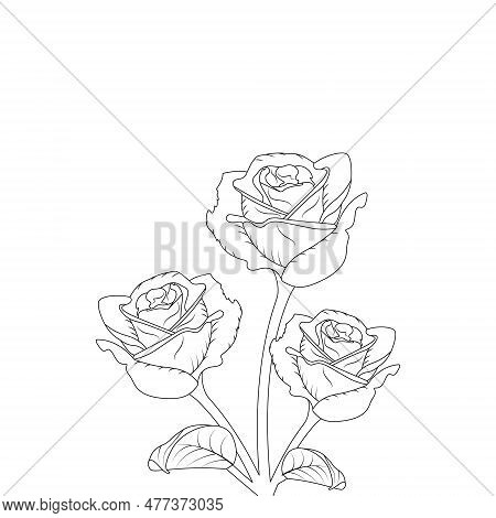 Rose Flower Hand Drawn Coloring Page With Decorative Style Line Art Vector Design