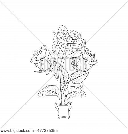 Rose Flower Hand Drawn Coloring Page With Decorative Style Line Art Vector Design