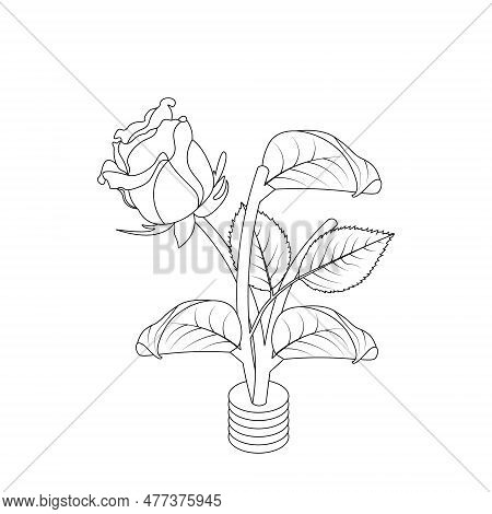 Rose Flower Hand Drawn Coloring Page With Decorative Style Line Art Vector Design