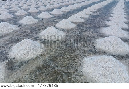 Sea Salt Farm. Pile Of Brine Salt. Raw Material Of Salt Industrial. Sodium Chloride Mineral. Evapora