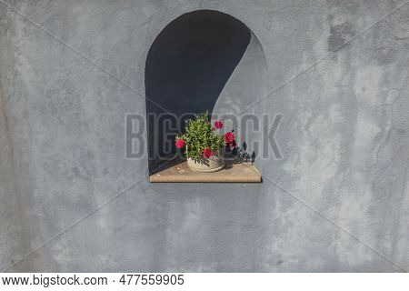 Beautiful Blomming Flower In Recess In Wall Of Grey House. Sweden.