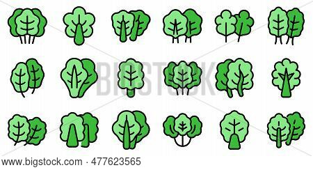 Chard Icons Set Outline Vector. Mangold Agriculture. Cabbage Diet Thin Line Color Flat On White