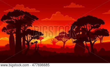 African Savannah Sunset Landscape Silhouette. Scenery Panorama With Baobab Trees, Surikats Animals S