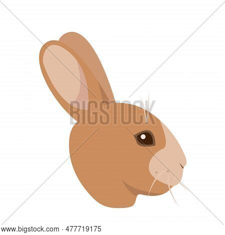 Domestic Rabbit Or Wild Hare Face Or Head Side View. Farm Animal Or Pet Icon. Vector Illustration Is