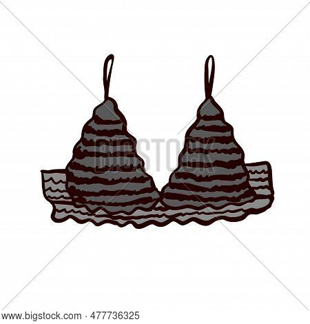 Black Lace Padded Bra For Women Wear Vector,