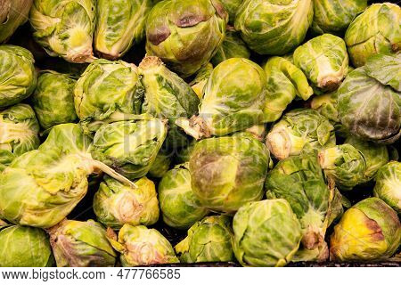 Brussel Sprouts Or Rosenkohl In German Language