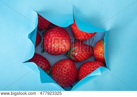 Blue Background With A Hole With Red Strawberries. Strawberry Background. Red Fresh Strawberry Wallp