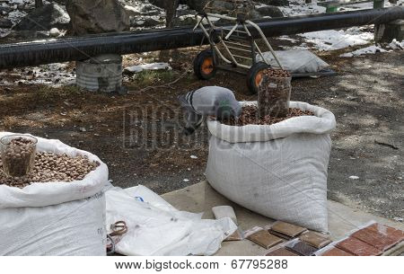 Dove and pine nuts in sacks on the counter