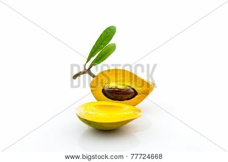 Egg Fruit , Canistel, Yellow Sapote (pouteria Campechiana (kunth) Baehni).