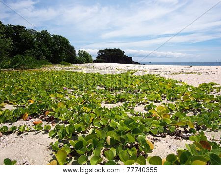 Koh Lipe