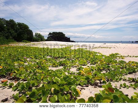 Koh Lipe