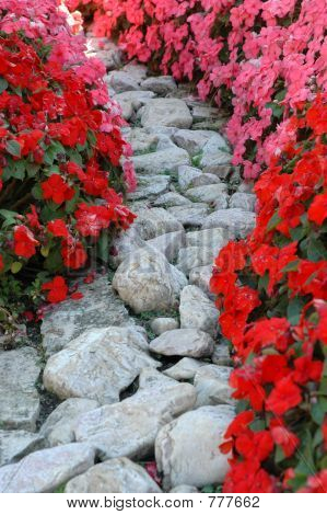 Fiori e pietre
