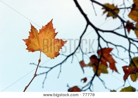 가 겨울 색상