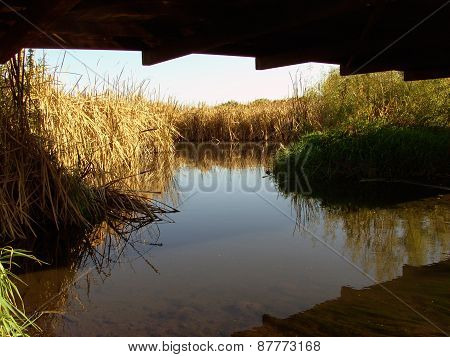 View of a Creek from Under a Bridge