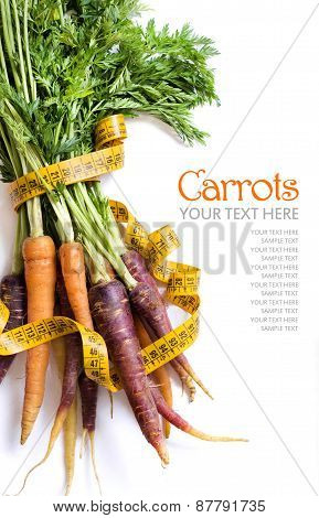 Fresh Organic Rainbow Carrots