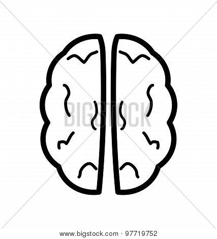 Human Brain, Medacal Icon Concept
