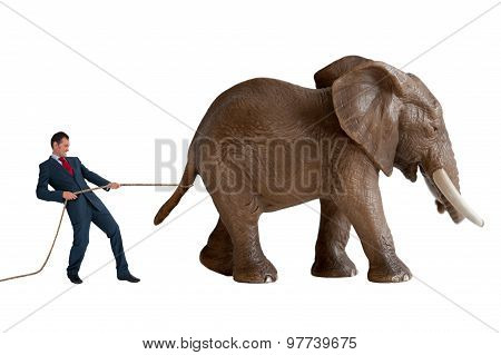 Businessman Trying To Restrain An Elephant