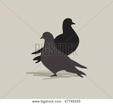 Two doves. Dove bird silhouette. Peace symbol. Love symbol