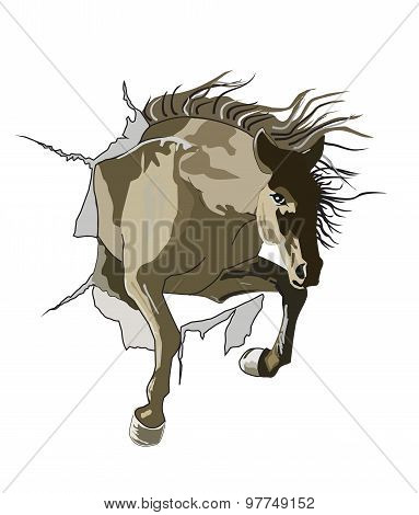 Horse