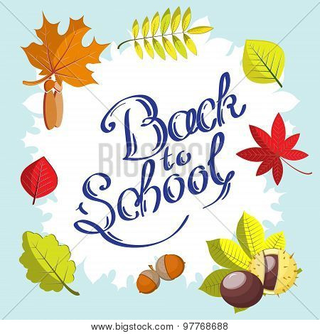 Calligraphic Back to school hand drawn surrounded by frame with autumn leaves