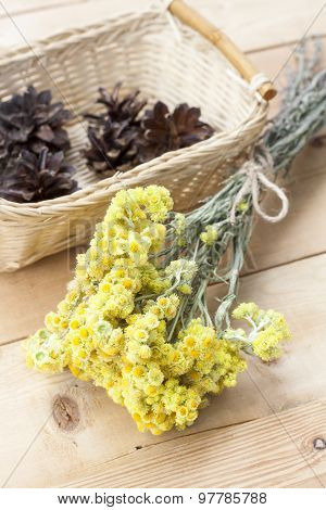 Dwarf everlast flowers bouquet and pine cones in a wicker basket on light wooden table