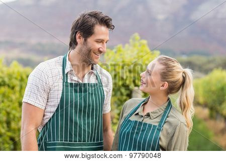 Two young happy vintners looking at each other in the grape fields