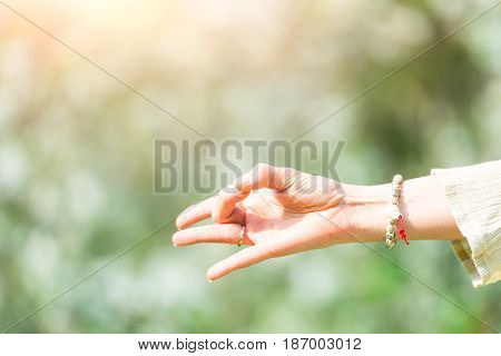 Hand In Yoga Position In Nature