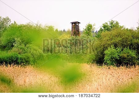 Blurry hide seat in the nature reserve Wagbachniederung