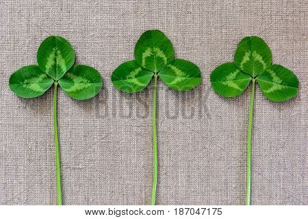Green Leaves Of Clover On The Background Of Linen Cloth.