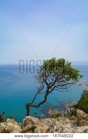 East Coast of Cyprus, Summer Sea Holidays