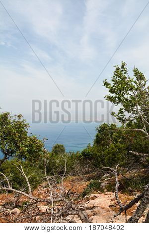 East Coast of Cyprus, Summer Sea Holidays