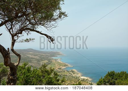 East Coast of Cyprus, Summer Sea Holidays