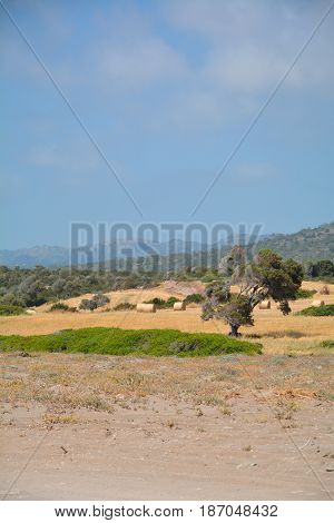 East Coast of Cyprus, Summer Sea Holidays
