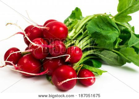 Bunch of washed fresh red radish, isolated on white background. Studio Photo