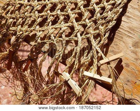 Esparto halfah grass used for crafts as cords basketry and espadrilles