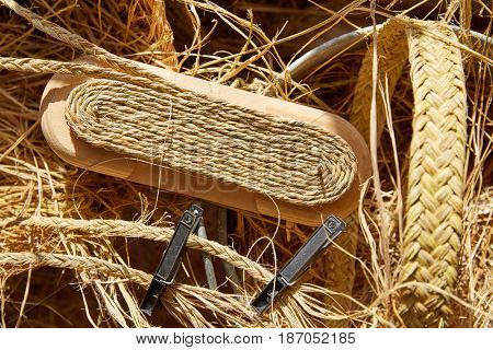 Esparto halfah grass used for crafts as cords basketry and espadrilles