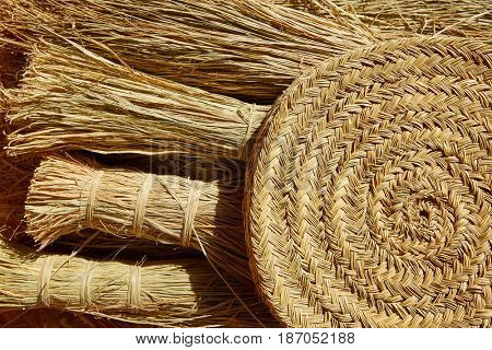 Esparto halfah grass used for crafts as cords basketry and espadrilles