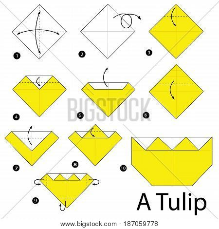 step by step instructions how to make origami a Tulip.