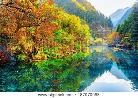 The Five Flower Lake. Autumn Forest Reflected In Water