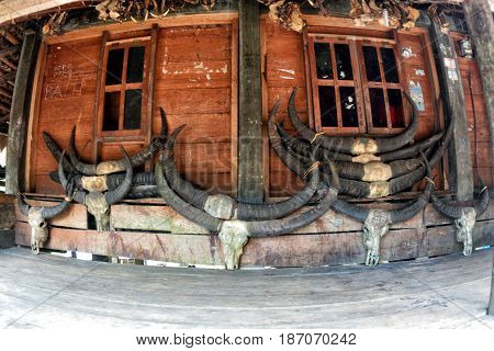 Traditional house of sumba island with its uniqueness