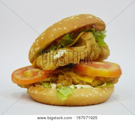 Tasty Chicken Burger on plain background - Can be used for websites, magazine, brochures or flyers