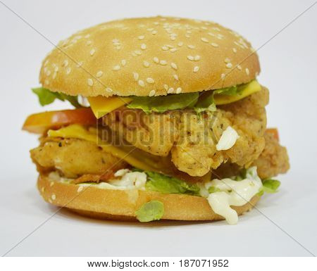 Tasty Chicken Burger on plain background - Can be used for websites, magazine, brochures or flyers