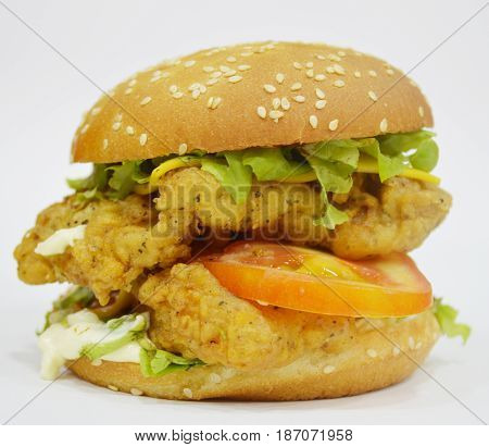 Tasty Chicken Burger on plain background - Can be used for websites, magazine, brochures or flyers