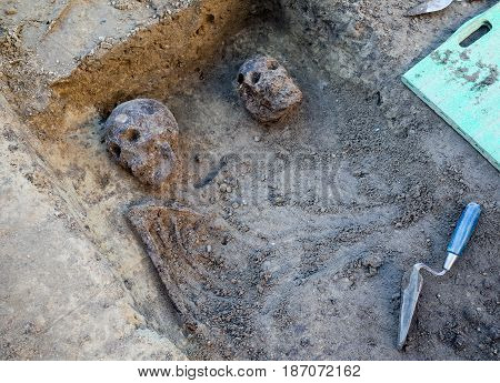 Archaeological excavation with skeletons skulls and spatulas to dig with
