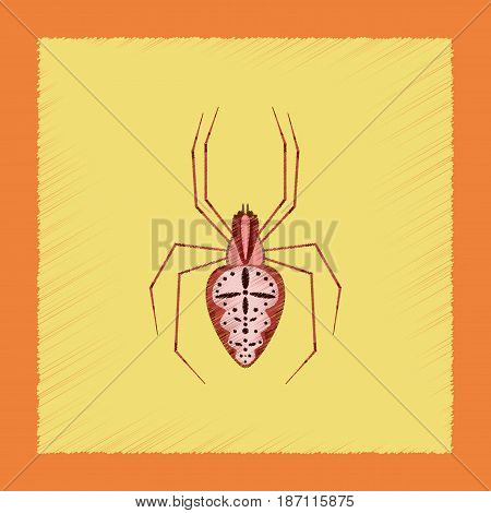 flat shading style illustration of spider Araneus