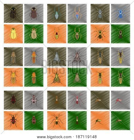 assembly flat shading style illustration of insect honey wasp soldier bug ant mosquito scarab Araneus bee fly