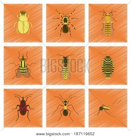 assembly flat shading style illustration of insect honey wasp soldier bug ant mosquito scarab Araneus bee fly