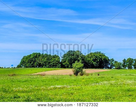 Wild Nature Ladsncape Background In The Spring Season
