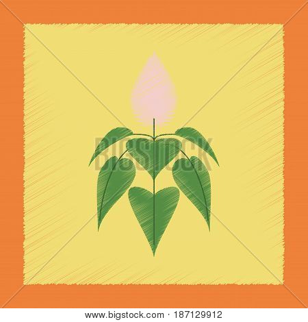 flat shading style illustration of herb amaranthus