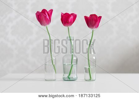 Three red tulips in bottles on the white background